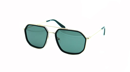 FIORE-FR23009