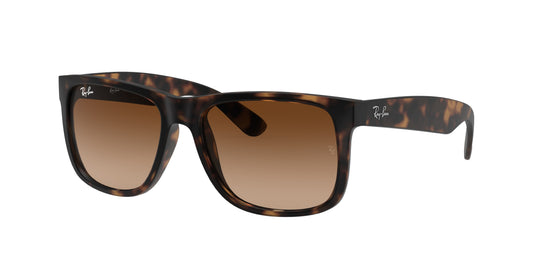 RAYBAN-RB4165